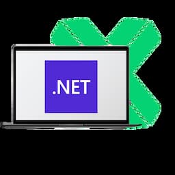 .NET development